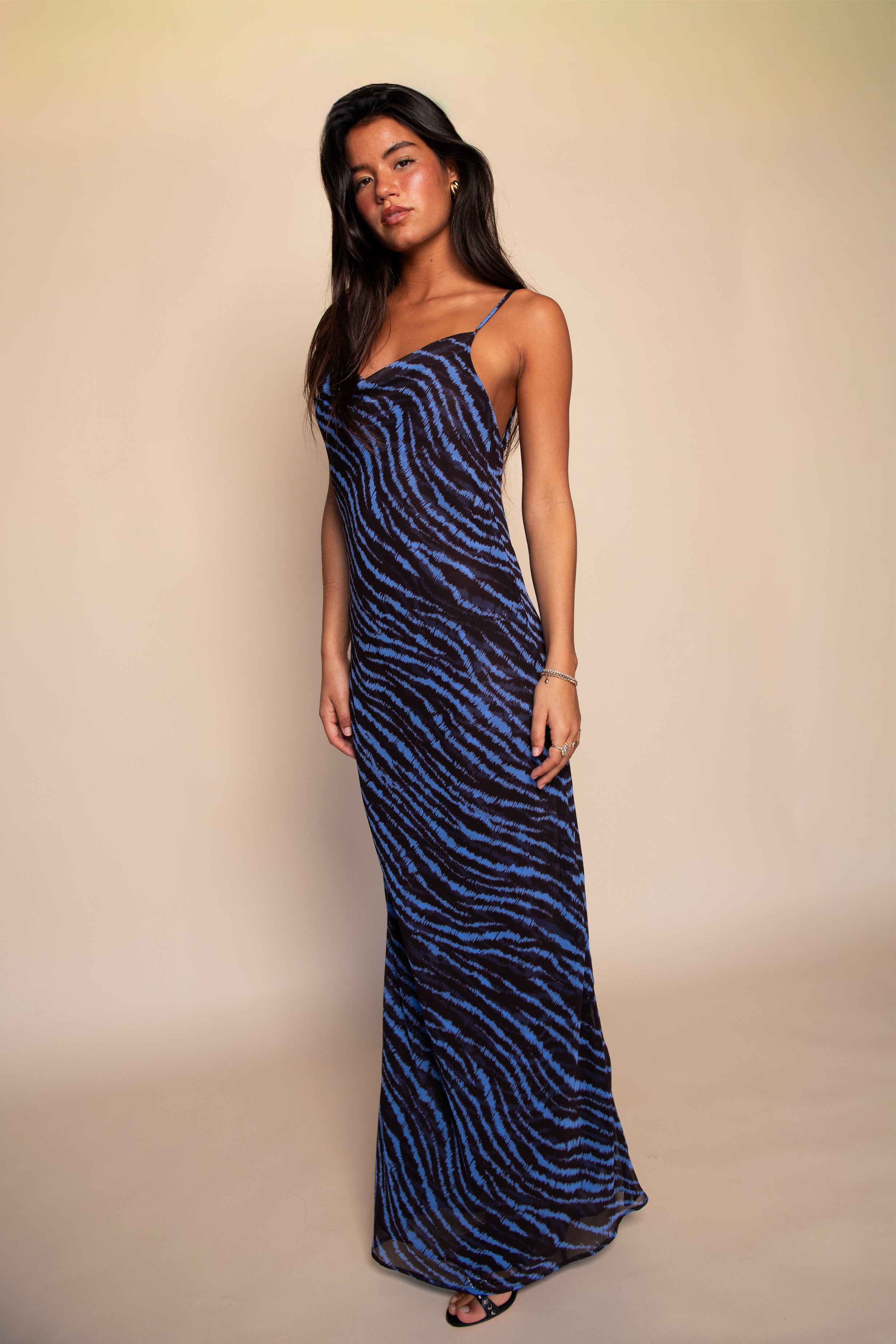 Samantha Maxi Dress Chiffon - Lynx
